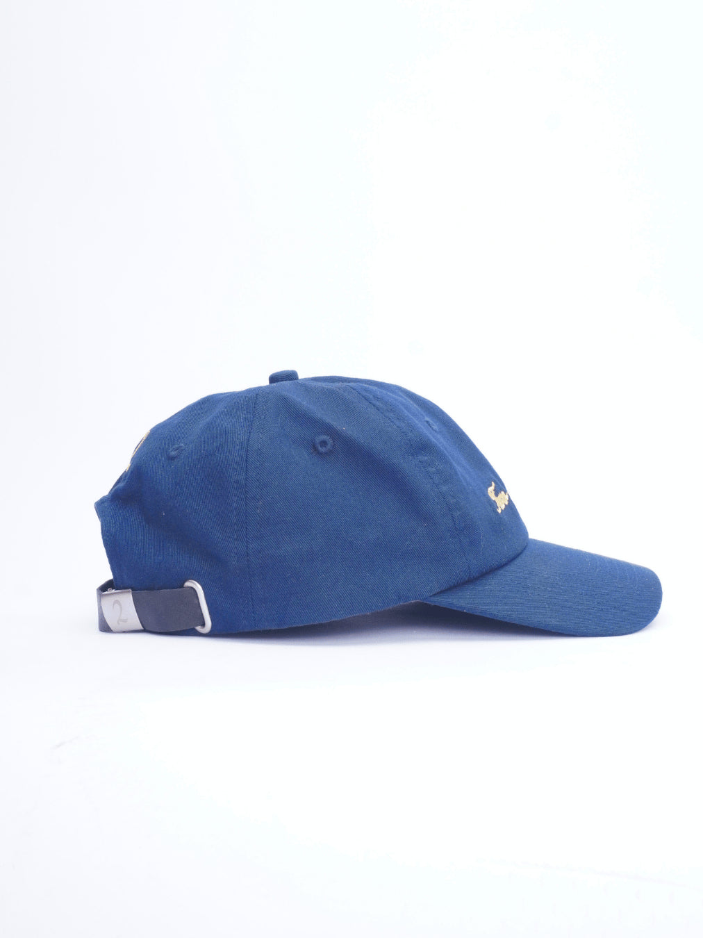Logo Cap